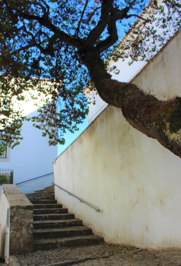 Casa Do Castelo Ourem Hotel Bagian luar foto